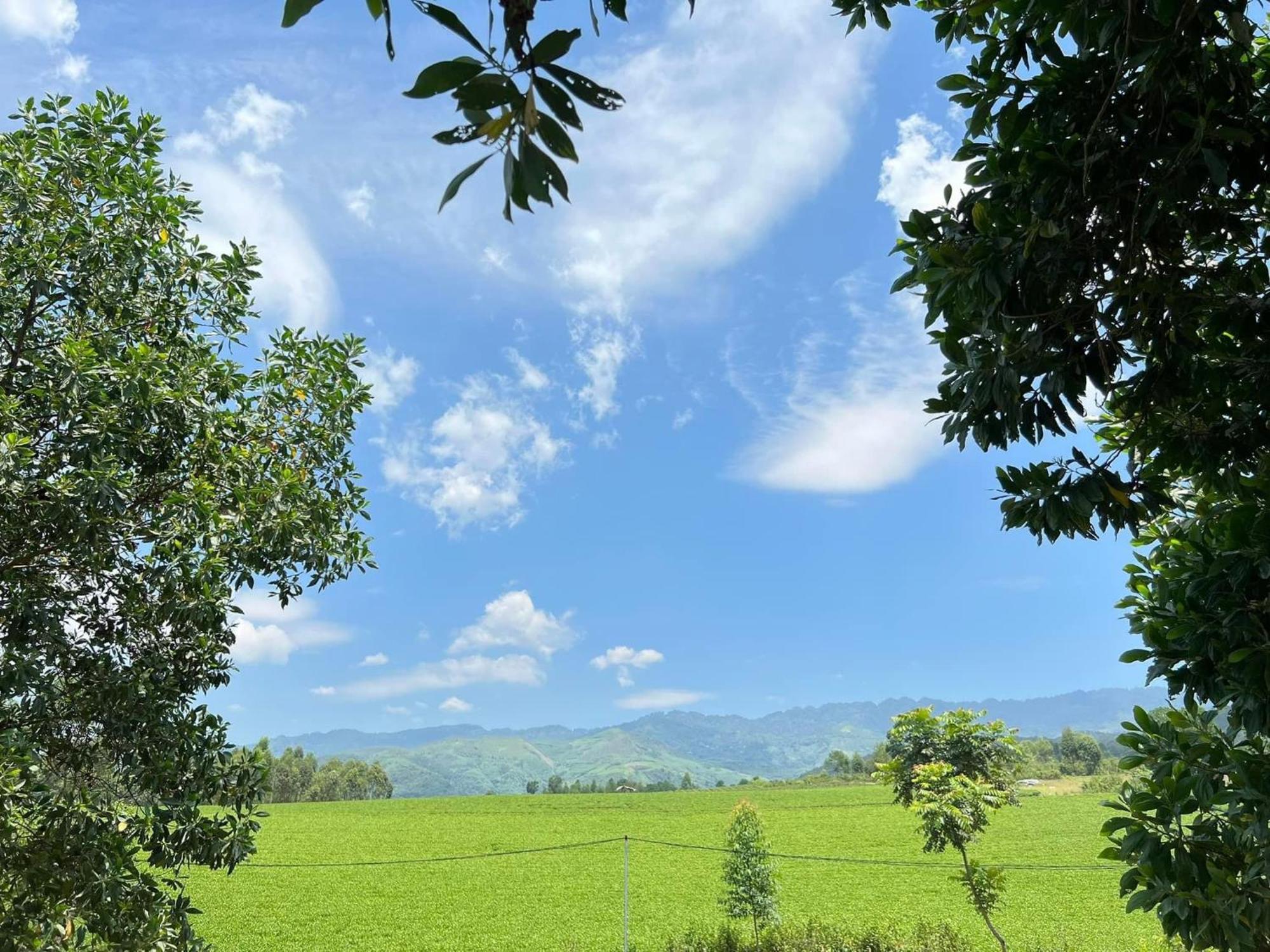 Happy Homestay Nghia Lo Екстер'єр фото